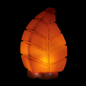 Leaf Shaped Salt Lamp